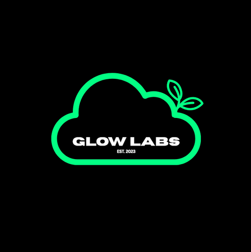 GL LLC